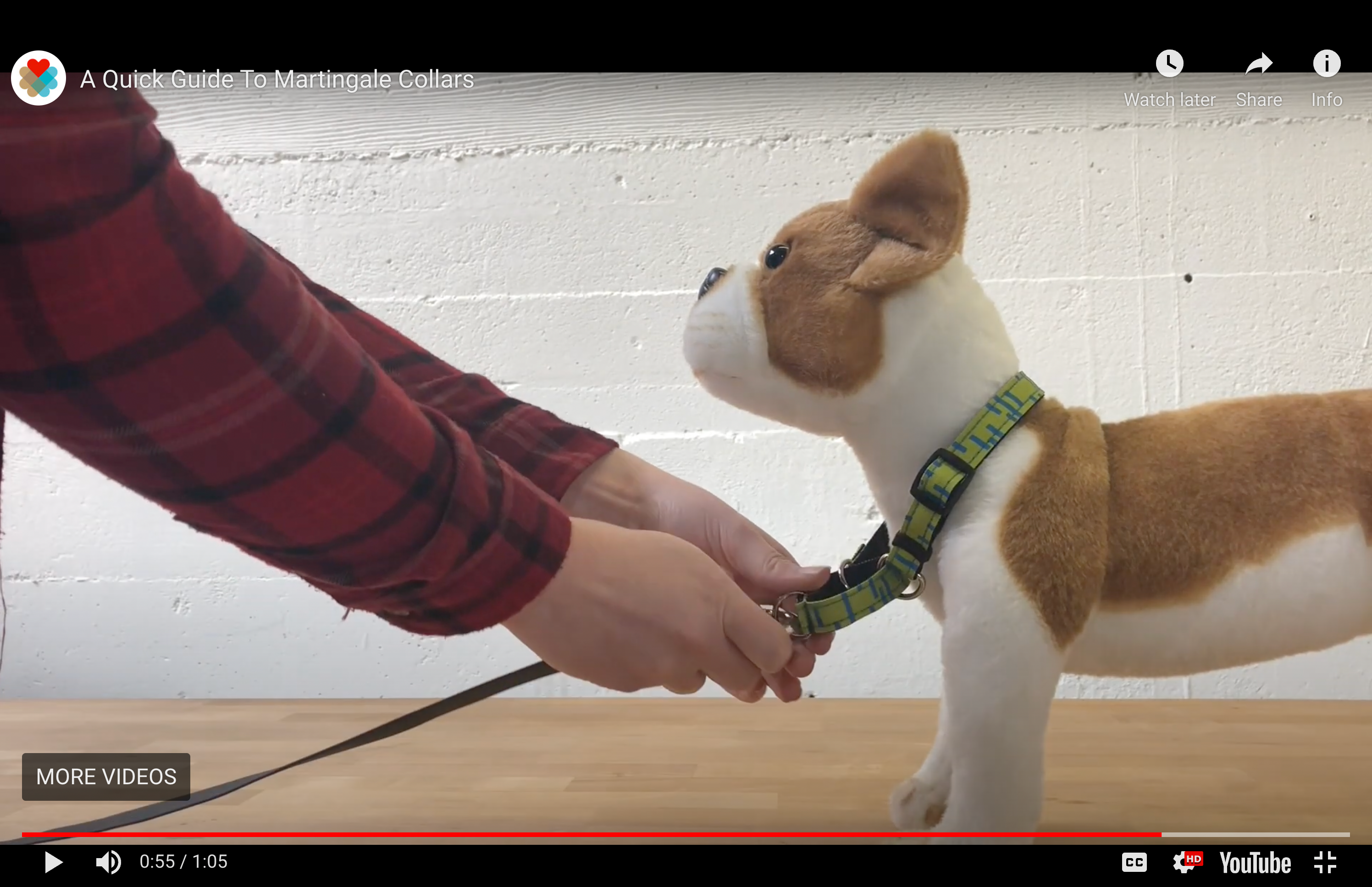 Wildebeest's Guide To Martingale Collar (With Video)