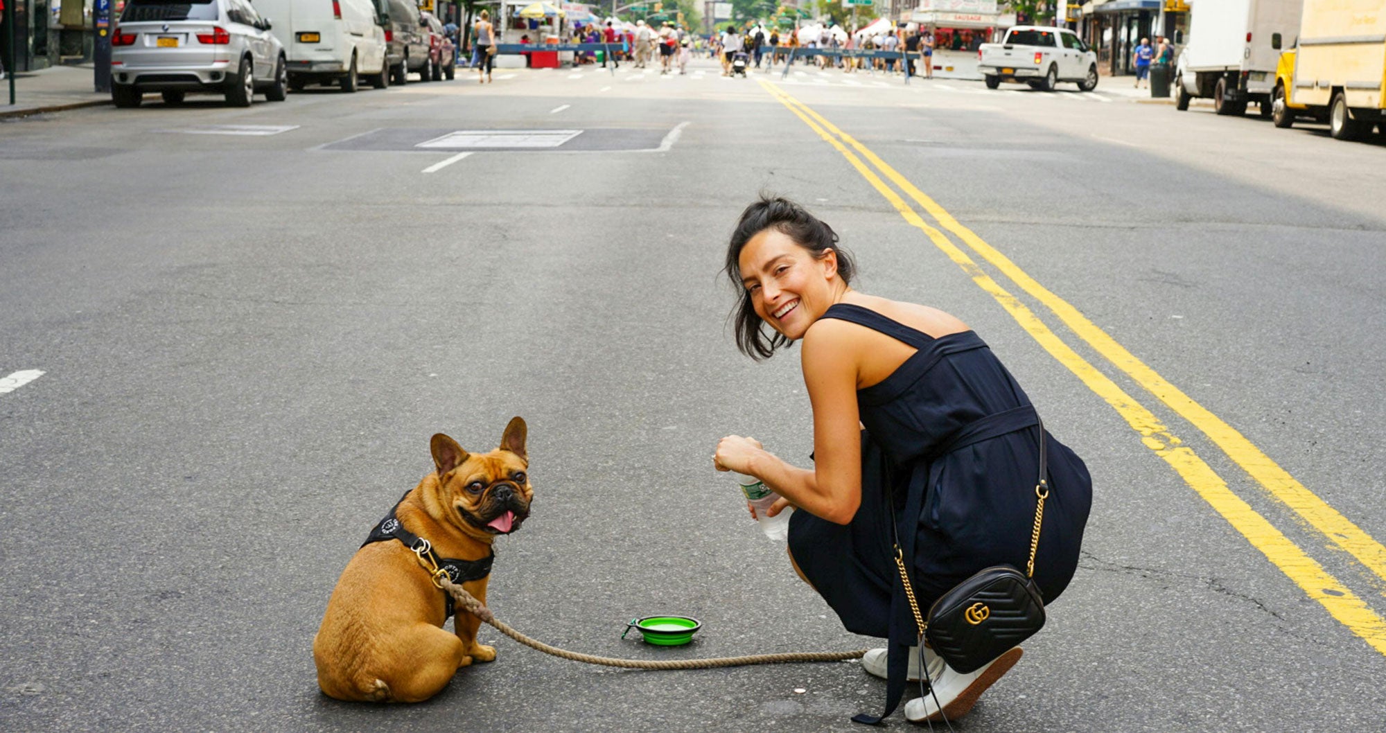 15 Dog Friendly Places in NYC (2024)
