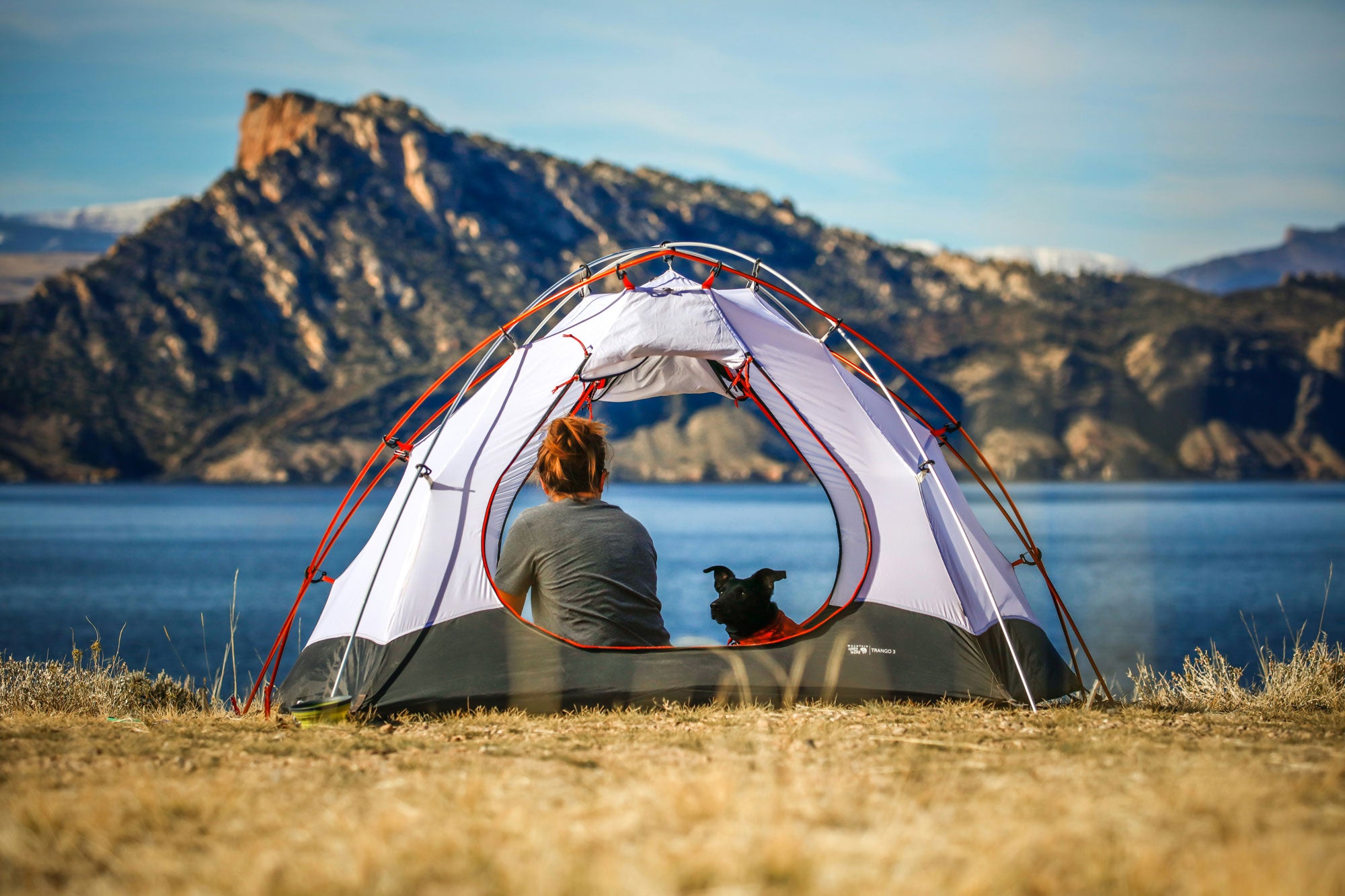 Wildebeest's Guide to Camping with Dogs