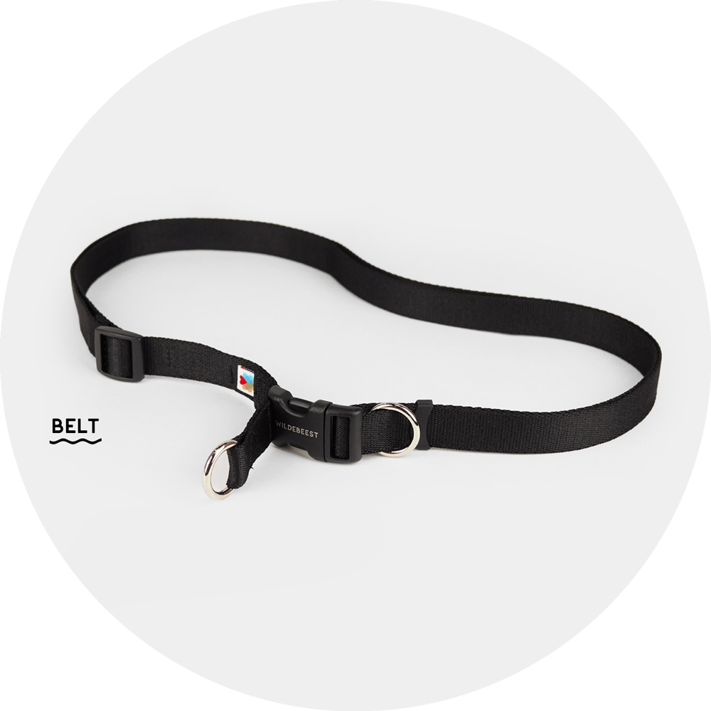 Ashbury Hands-Free Leash System/Color-Black