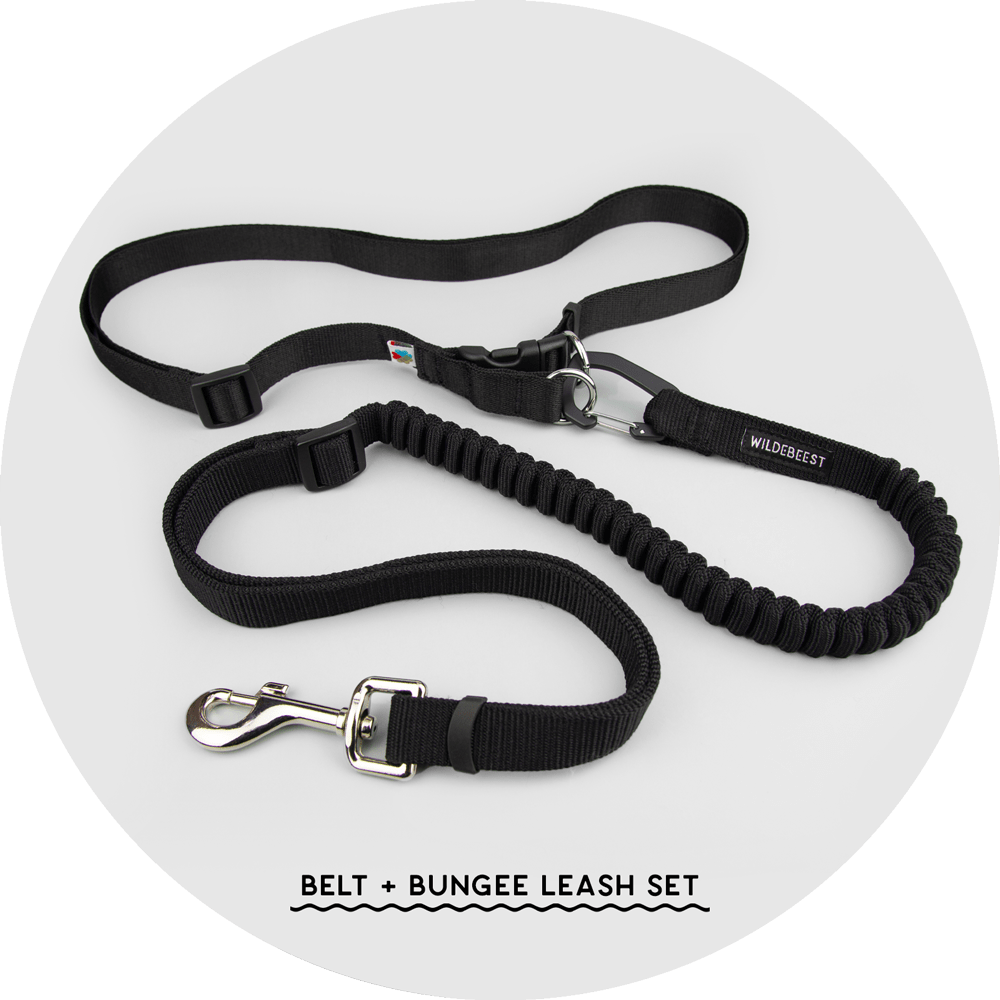 Ashbury Hands-Free Leash System/Color-Black