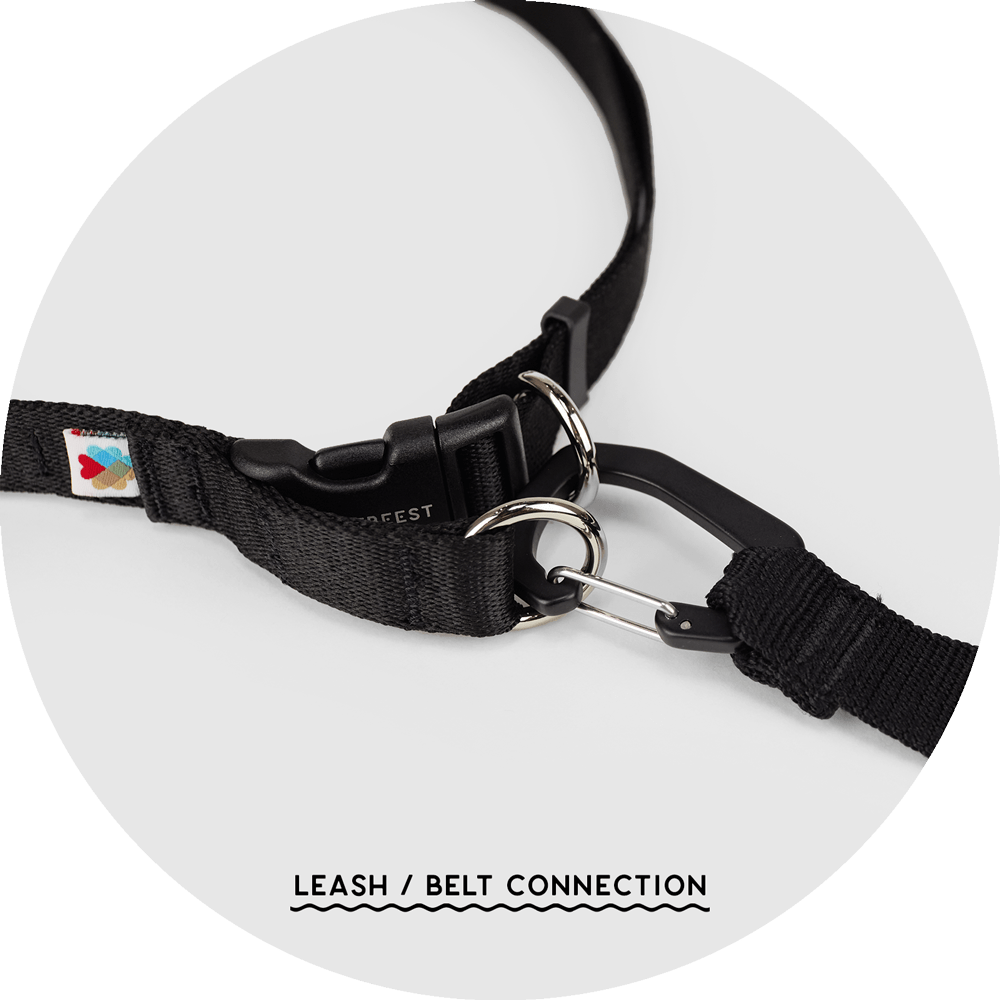 Ashbury Hands-Free Leash System/Color-Black