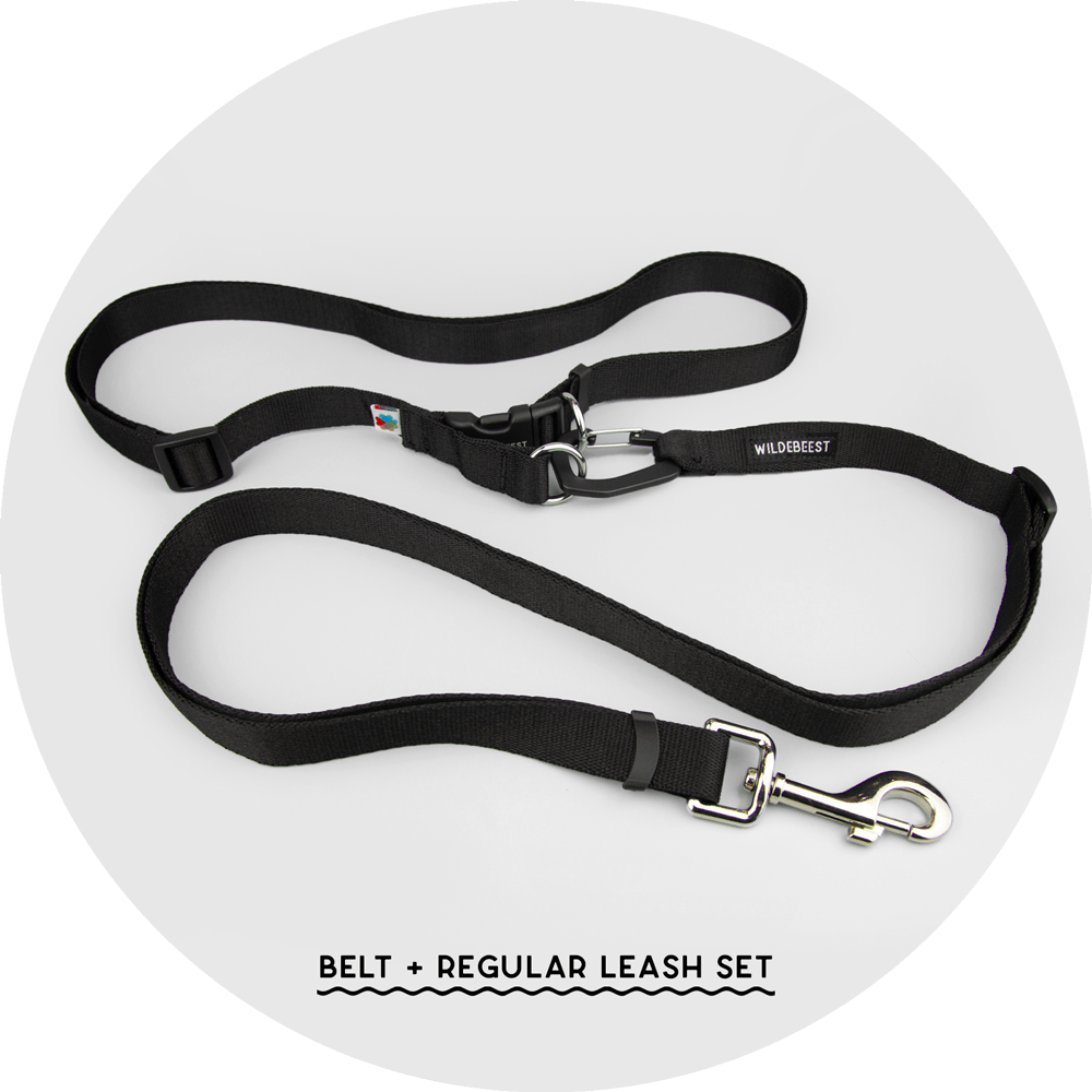 Ashbury Hands-Free Leash System/Color-Black