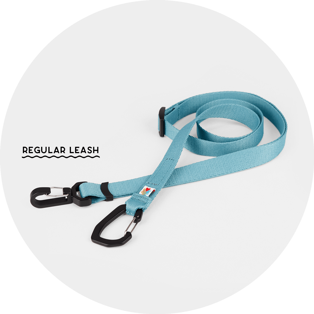 Ashbury Hands-Free Leash / Add Ons