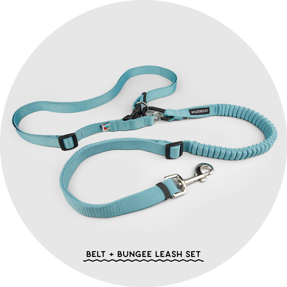 Ashbury Hands-Free Leash System/Color-Sky Blue