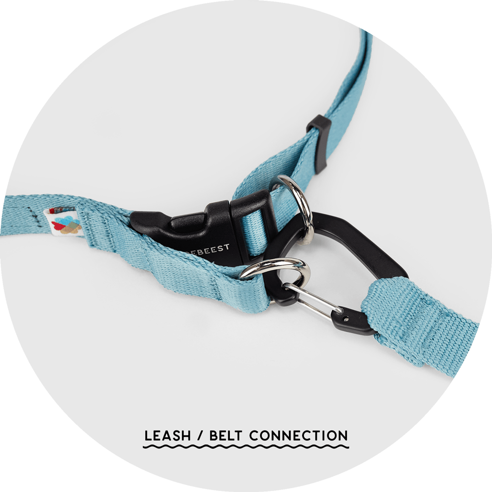 Ashbury Hands-Free Leash System/Color-Sky Blue