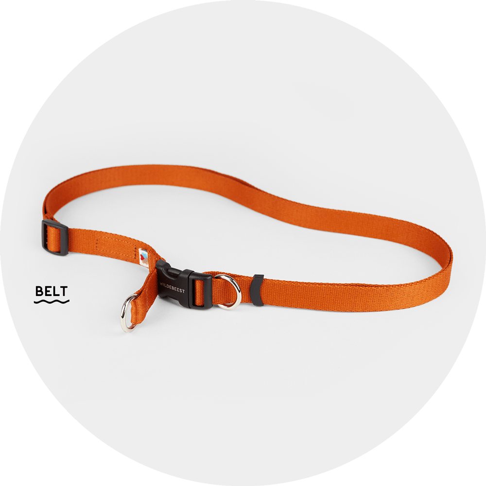 Ashbury Hands-Free Leash System/Color-Burnt Orange