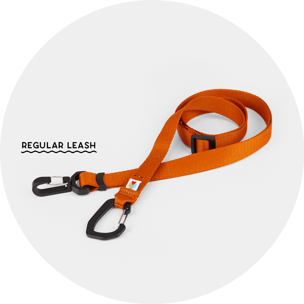 Ashbury Hands-Free Leash System/Color-Burnt Orange