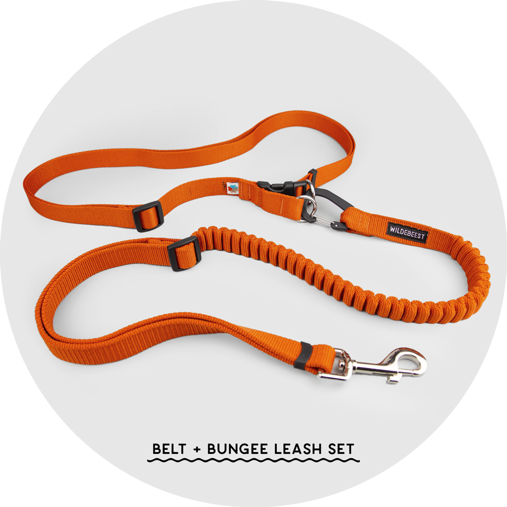 Ashbury Hands-Free Leash System/Color-Burnt Orange