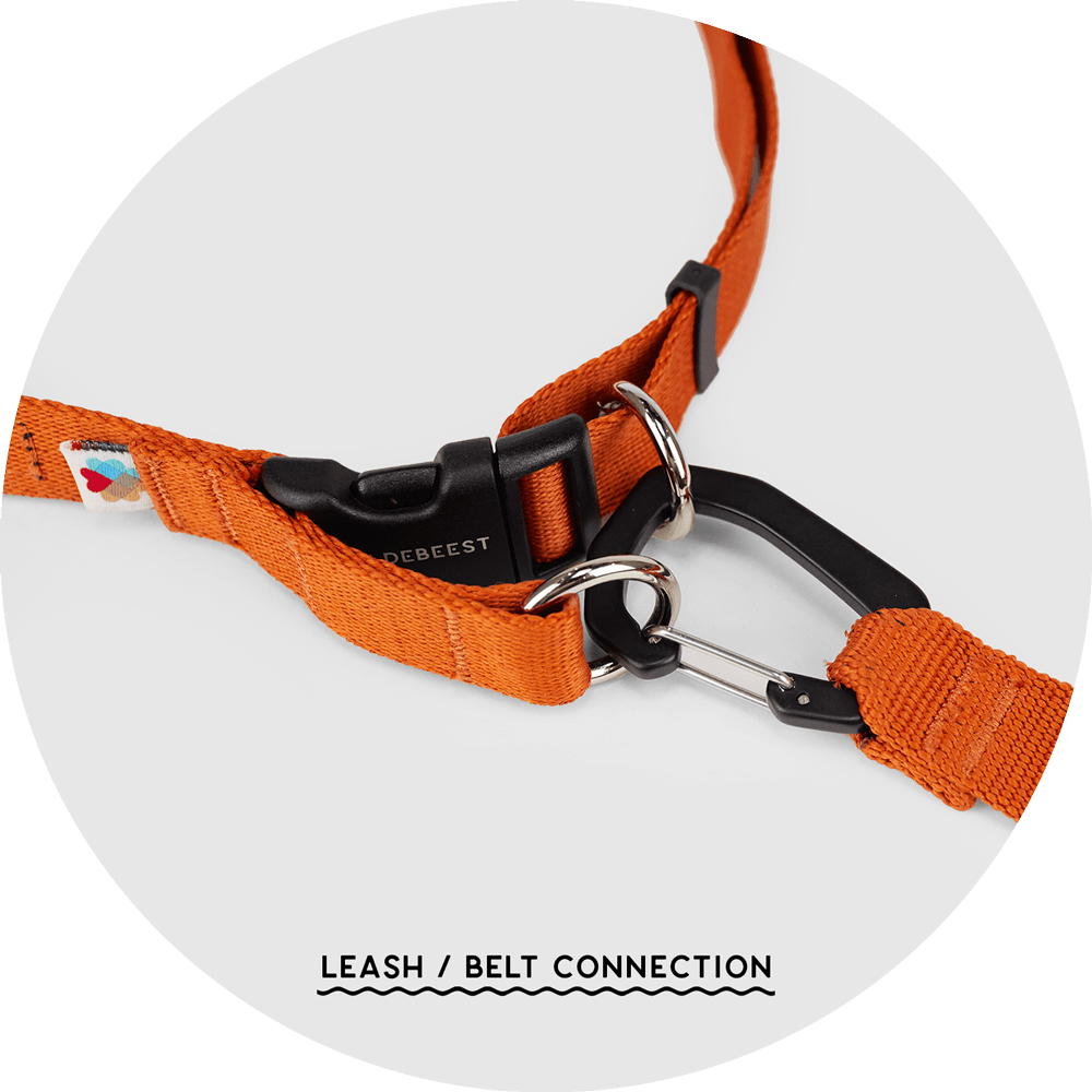 Ashbury Hands-Free Leash System/Color-Burnt Orange