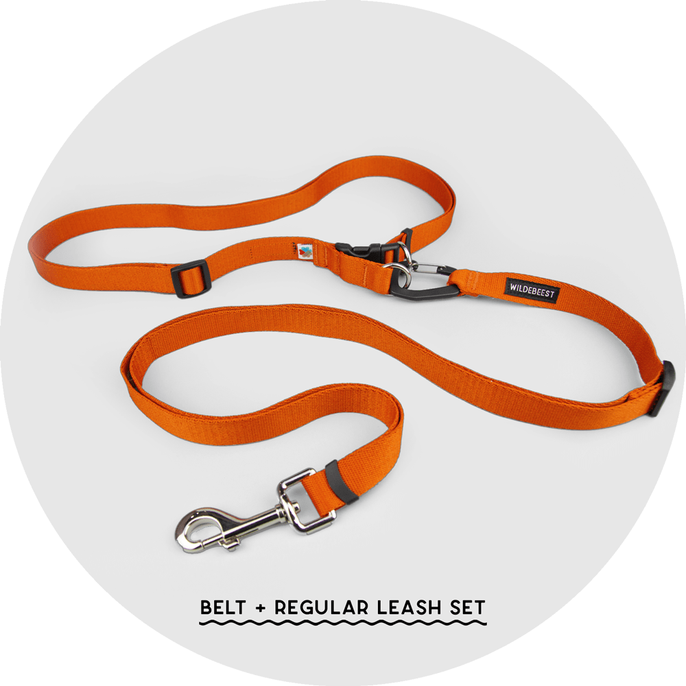Ashbury Hands-Free Leash System/Color-Burnt Orange