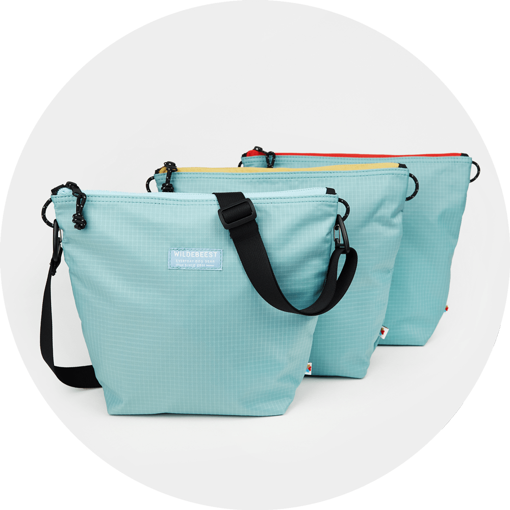 Bernal Go Bag/Color-Sky Blue