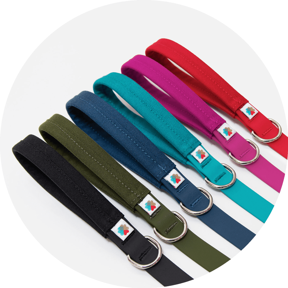 Funston Dog Leash/Color-Family