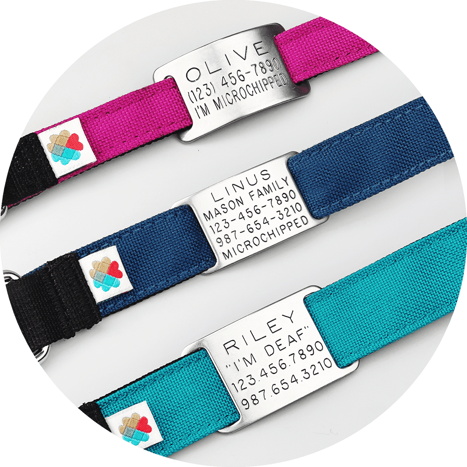 Custom Pet ID Tag