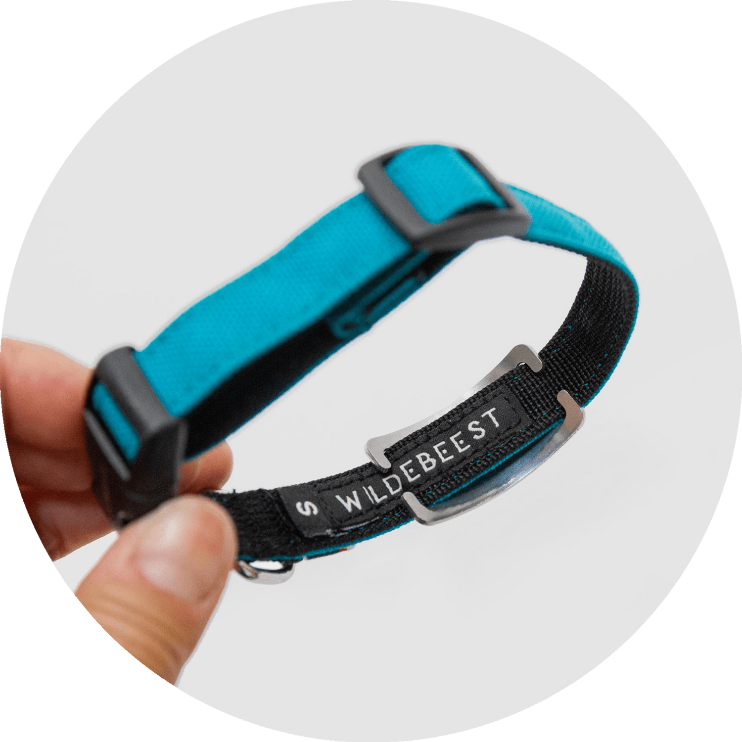 Custom Pet ID Tag