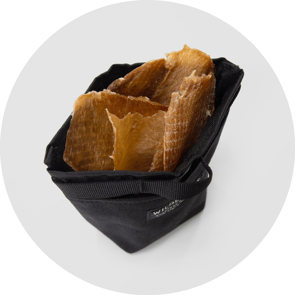 Alamo Dog Treat Pouch/Color-Black