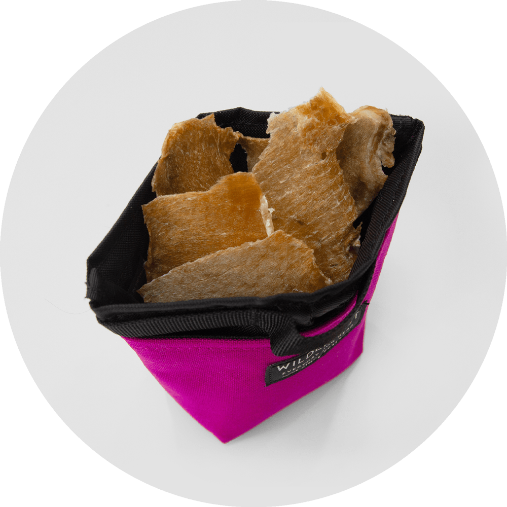Alamo Dog Treat Pouch/Color-Fuchsia