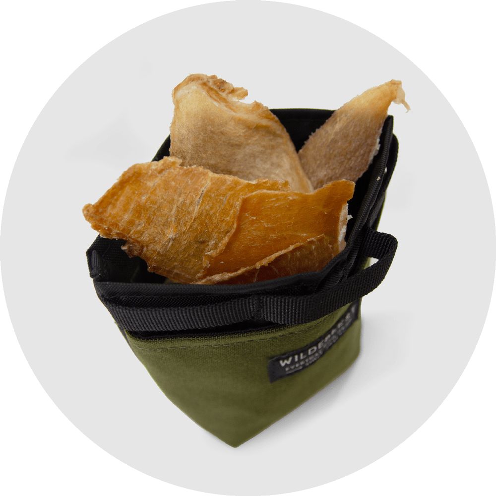 Alamo Dog Treat Pouch/Color-Olive