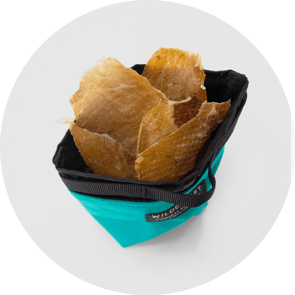 Alamo Dog Treat Pouch/Color-Turquoise