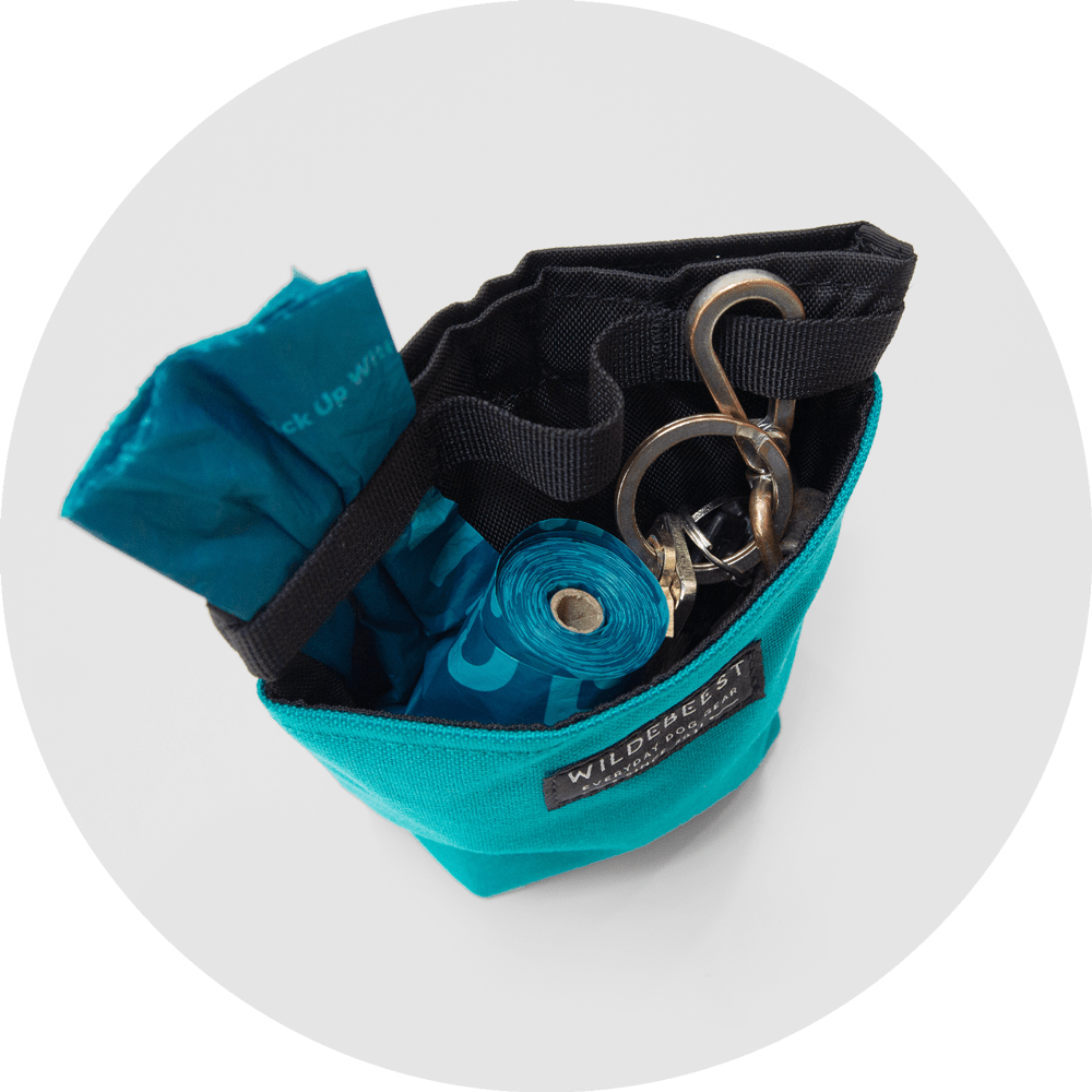Alamo Dog Treat Pouch/Color-Turquoise