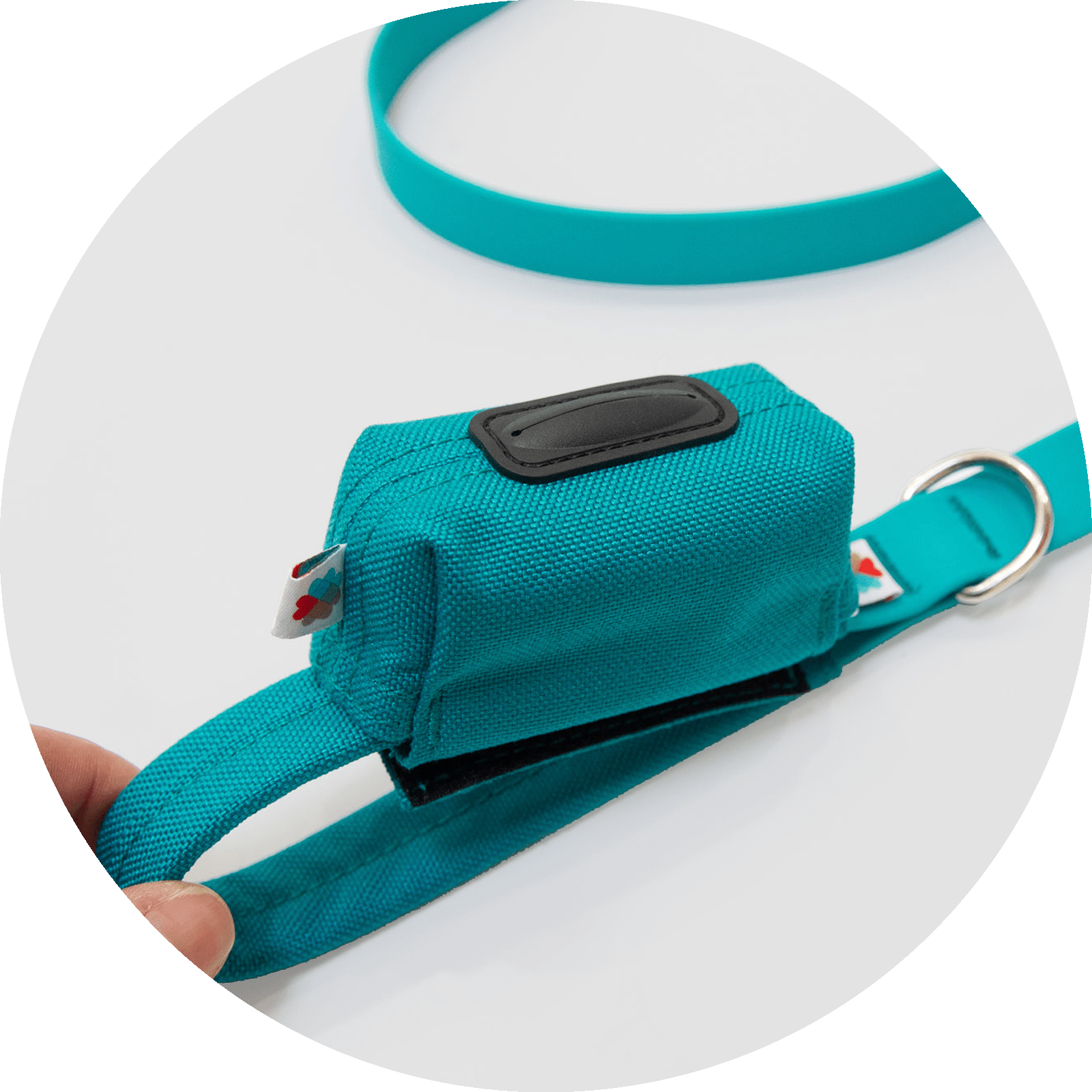 Funston Dog Baggie/Color-Turquoise