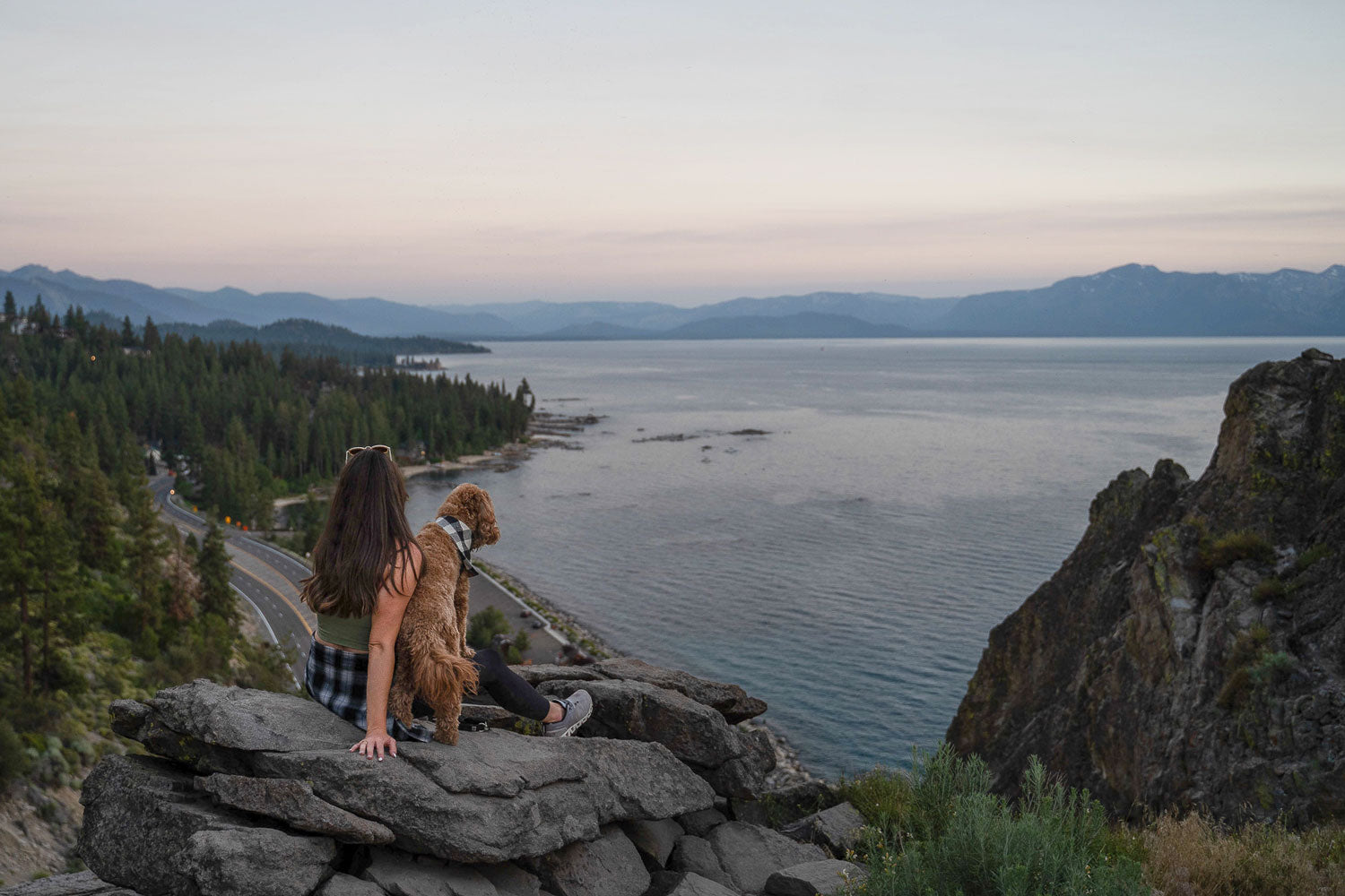 7 Dog-Friendly Activities For A Long Weekend