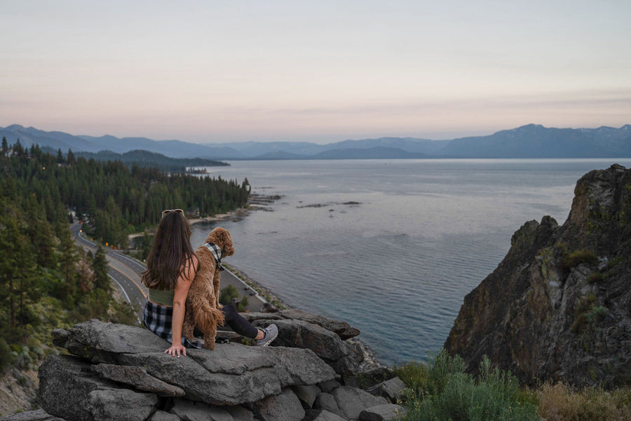 7 Dog-Friendly Activities For A Long Weekend