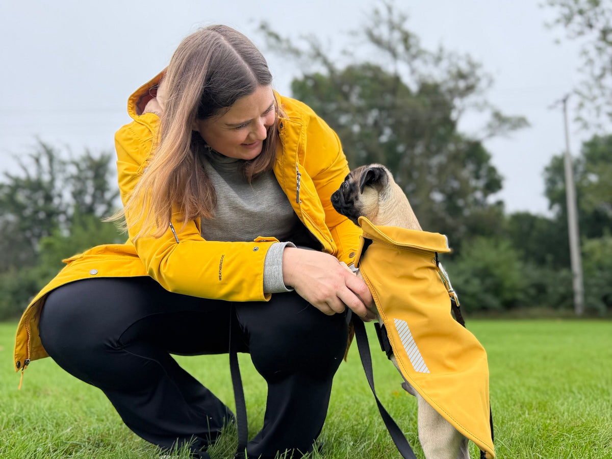 Rainy-Day Walks, Happier Pups