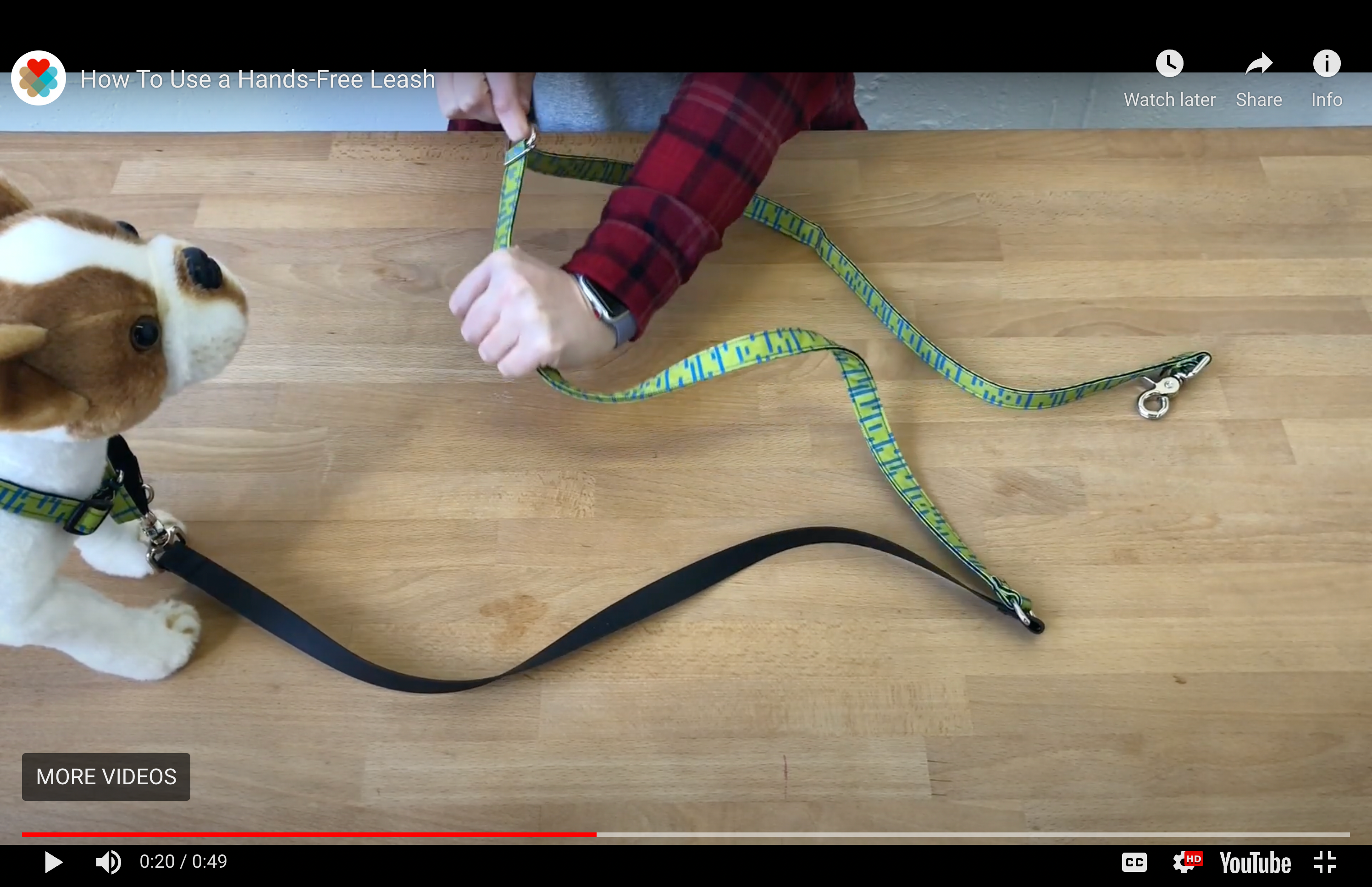 Wildebeest's Guide to Hands-Free Leash (With Video)