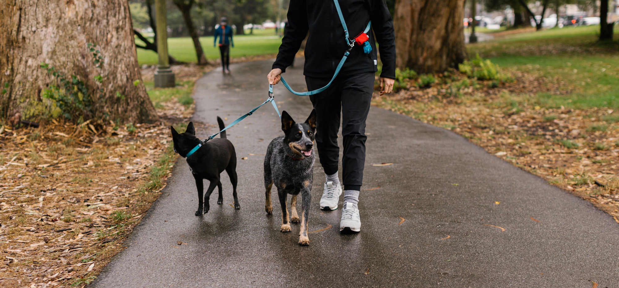 New Year, New You: 5 Tips To Reset You + Beest