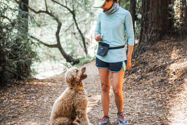 5 Tips To Get Your Dog Ready For Hiking Season
