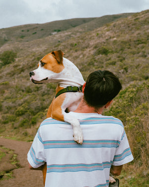 Wildebeest's Guide to Mental Health for Dog Parents
