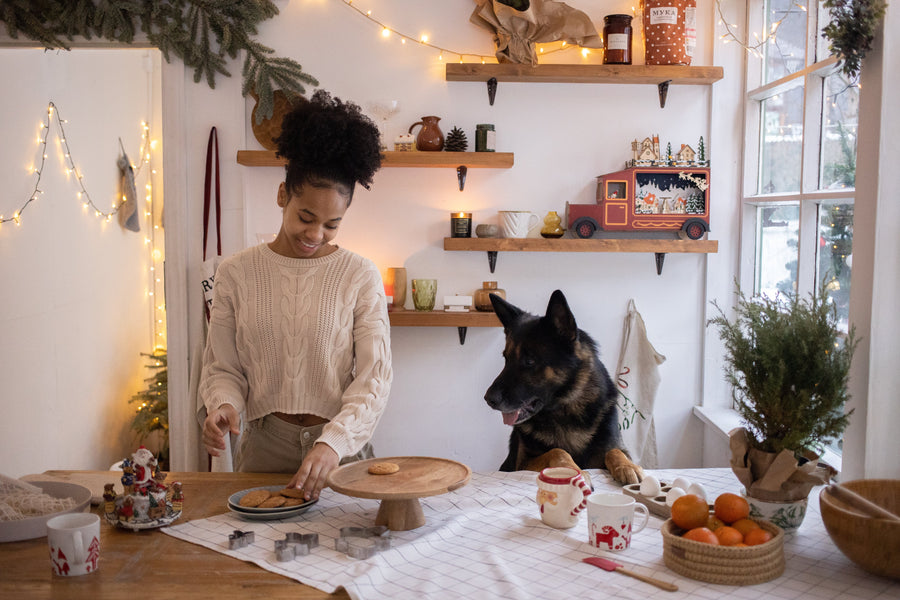 Homemade Holiday Dog Treats