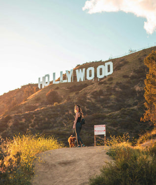 15 Dog Friendly Places in Los Angeles (2024)