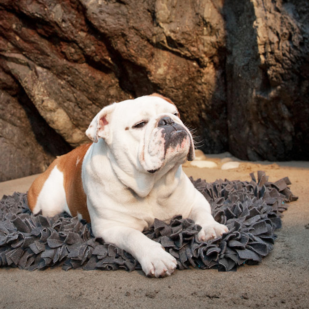 Meadow Pet Bed