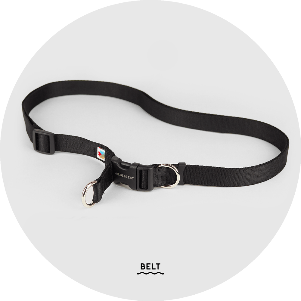 Ashbury Hands-Free Leash System/Color-Black