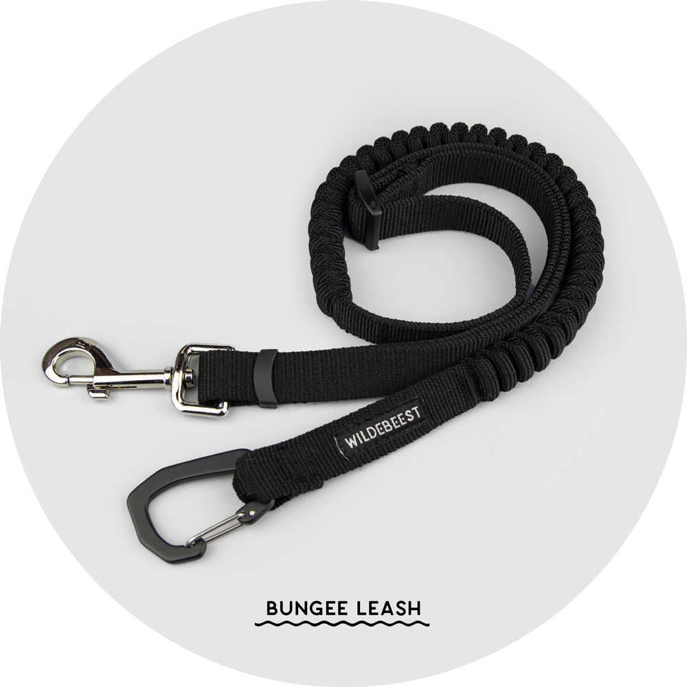 Ashbury Hands-Free Leash System/Color-Black