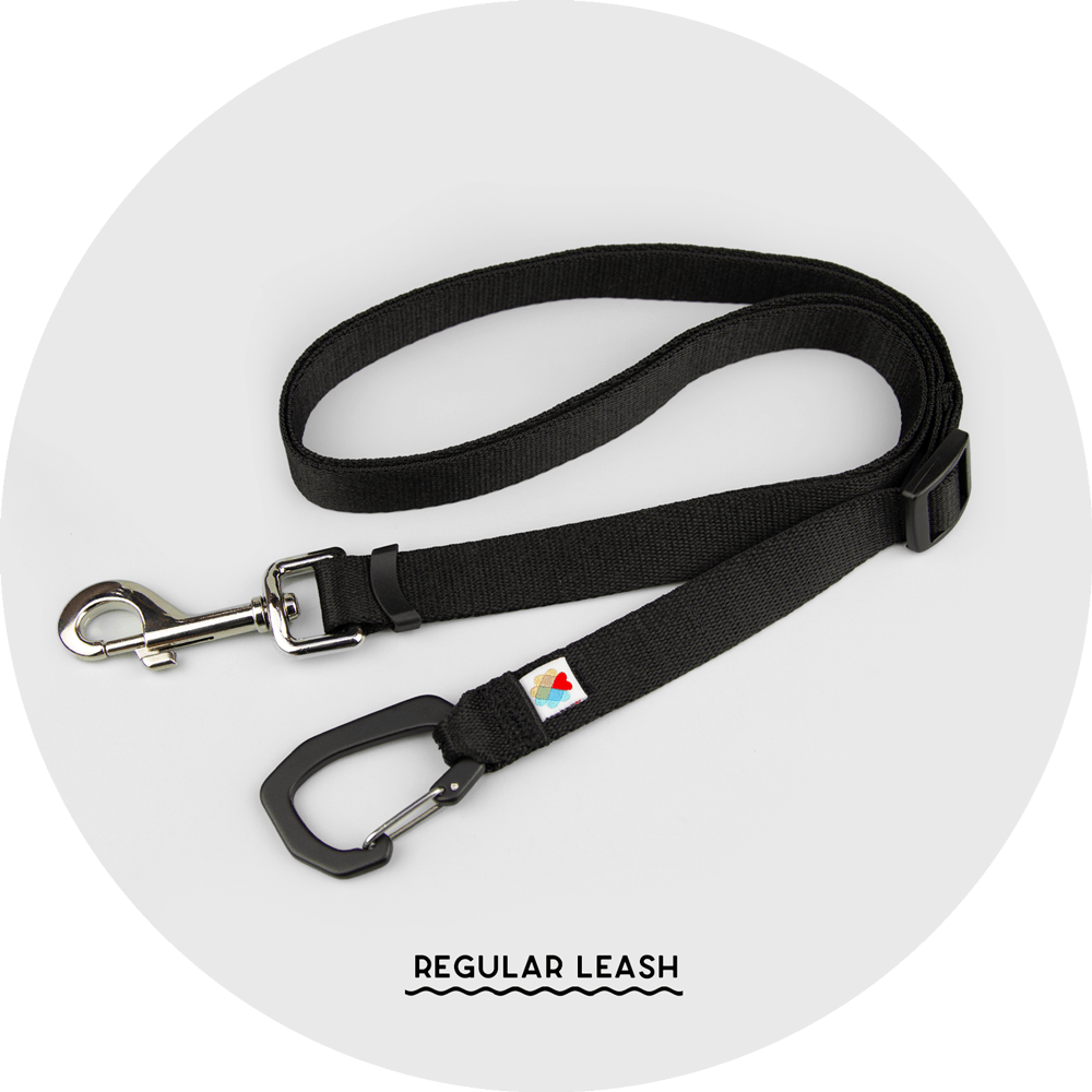 Ashbury Hands-Free Leash System/Color-Black
