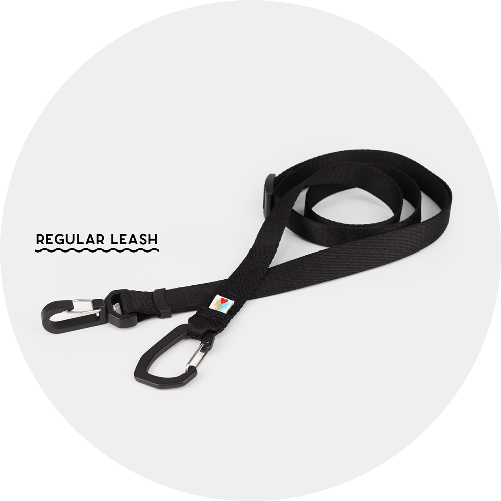 Ashbury Hands-Free Leash System/Color-Black