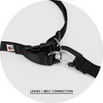 Ashbury Hands-Free Leash System/Color-Black