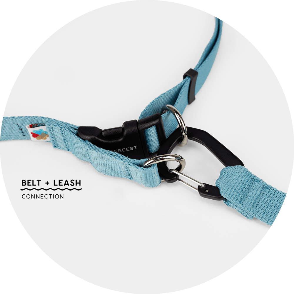 Ashbury Hands-Free Leash System/Color-Sky Blue