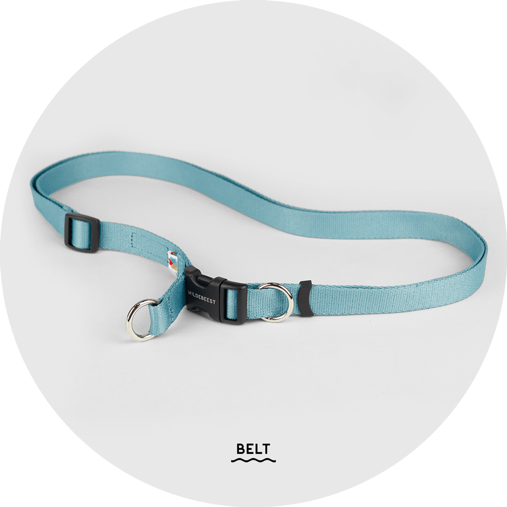 Ashbury Hands-Free Leash System/Color-Sky Blue
