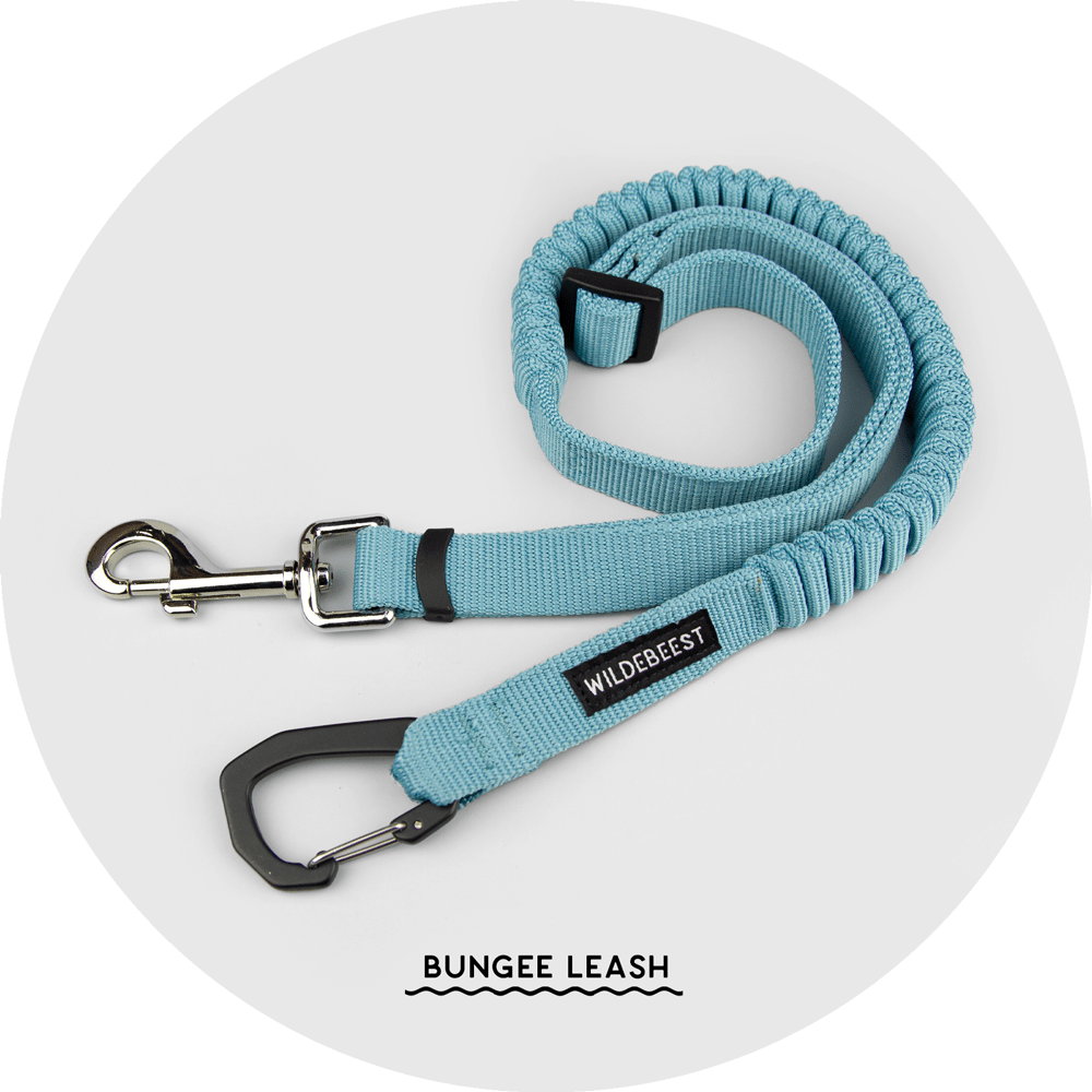Ashbury Hands-Free Leash System/Color-Sky Blue