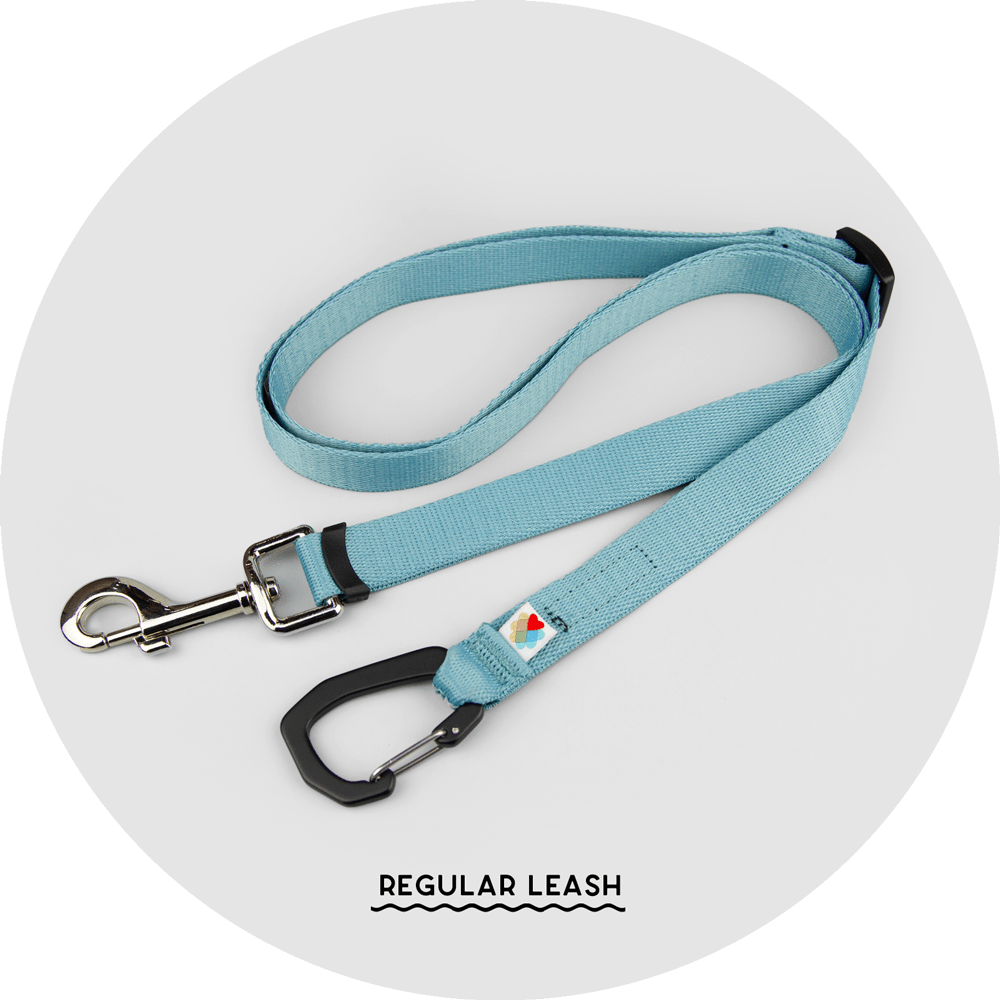 Ashbury Hands-Free Leash System/Color-Sky Blue