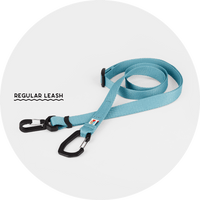 Ashbury Hands-Free Leash