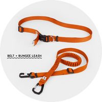 Ashbury Hands-Free Leash