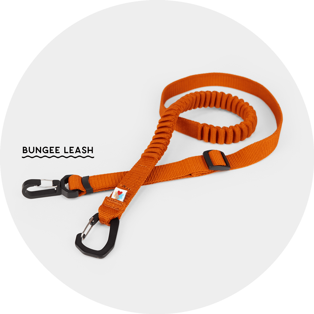 Ashbury Hands-Free Leash System/Color-Burnt Orange