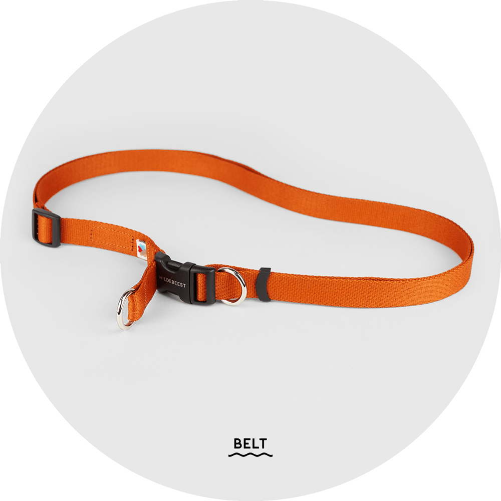 Ashbury Hands-Free Leash System/Color-Burnt Orange