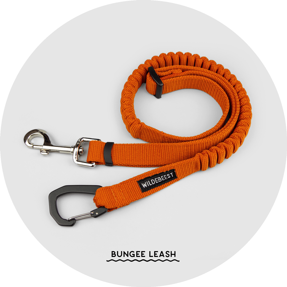 Ashbury Hands-Free Leash System/Color-Burnt Orange