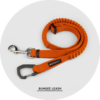 Ashbury Hands-Free Leash / Add Ons